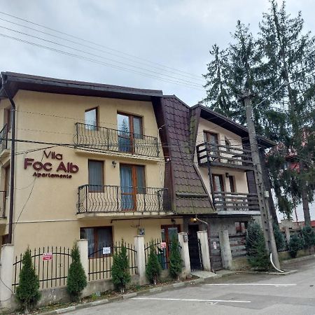 Vila Foc Alb Apartamente-Буштени Экстерьер фото