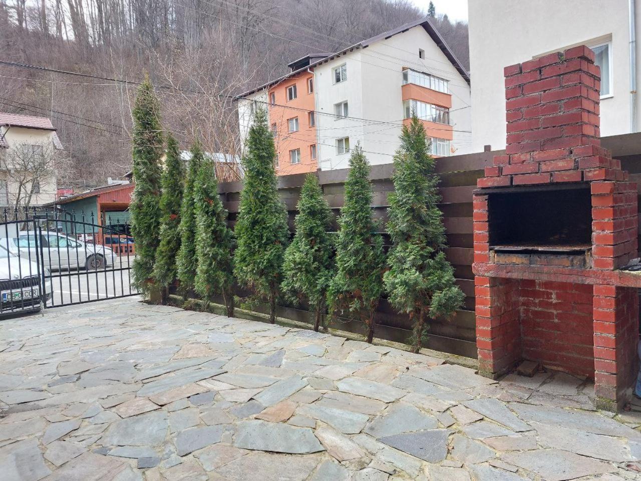 Vila Foc Alb Apartamente-Буштени Экстерьер фото