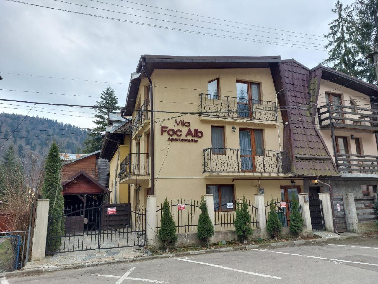 Vila Foc Alb Apartamente-Буштени Экстерьер фото